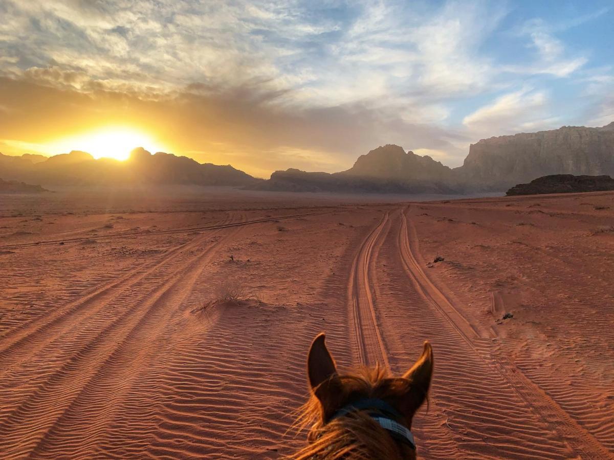 Wadi Rum Bedouin Tour With A Camp Exterior photo