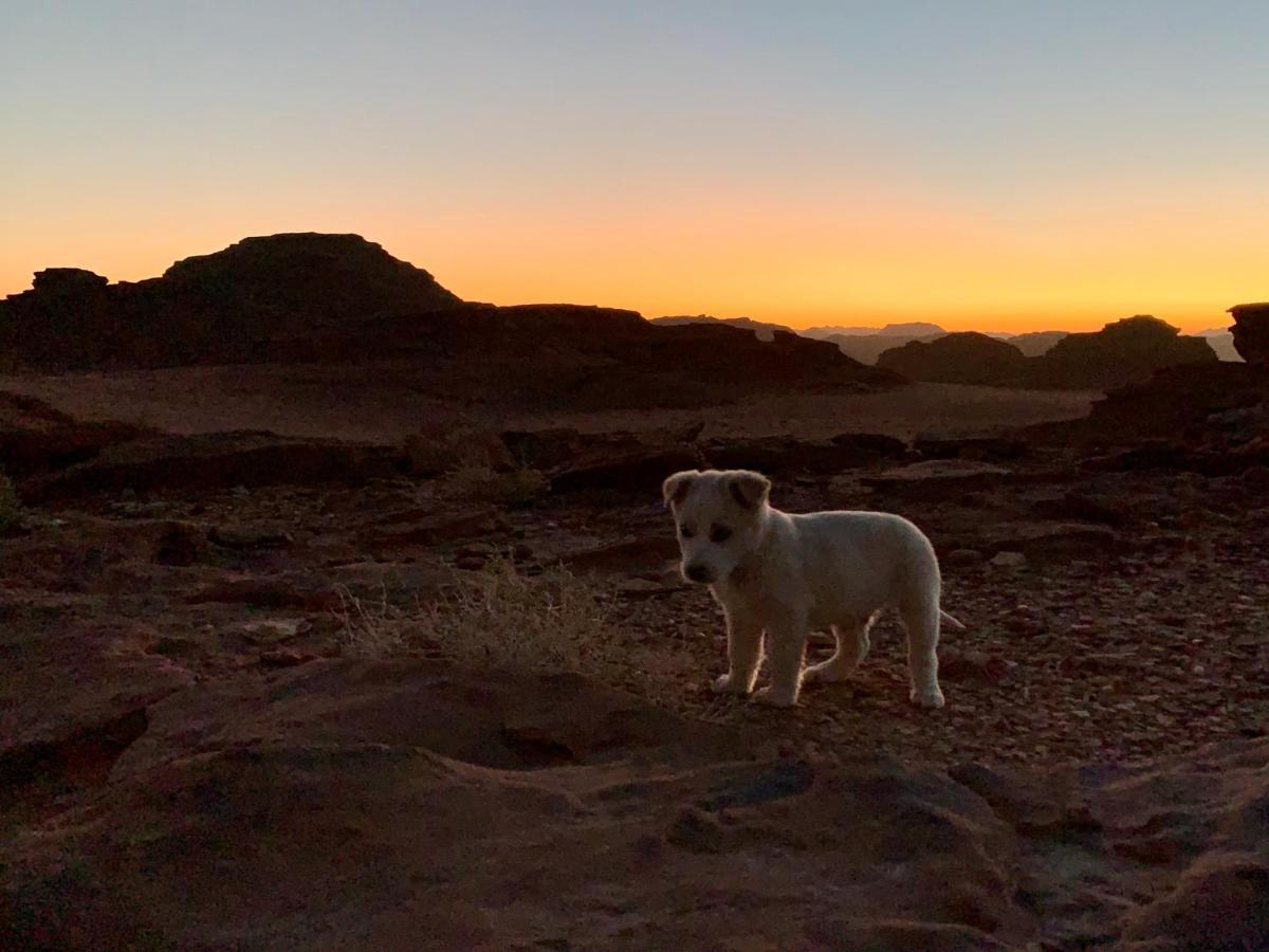 Wadi Rum Bedouin Tour With A Camp Exterior photo