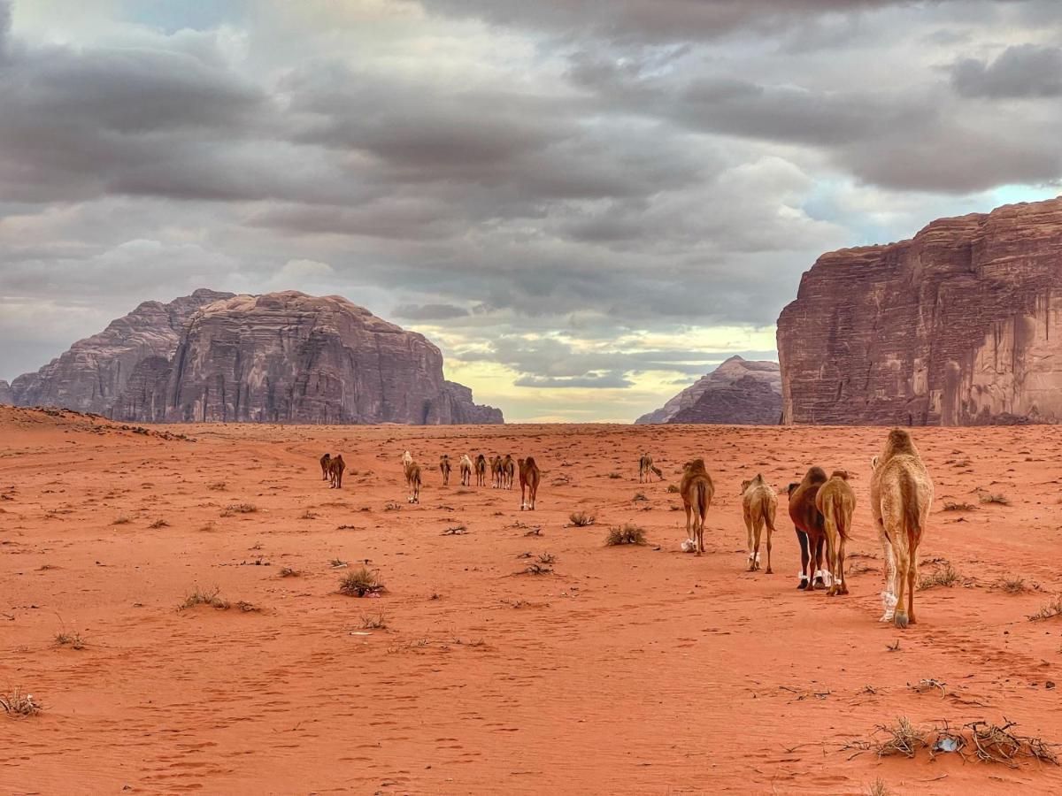 Wadi Rum Bedouin Tour With A Camp Exterior photo