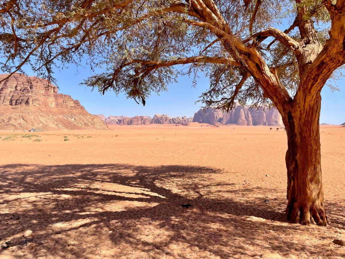 Wadi Rum Bedouin Tour With A Camp Exterior photo