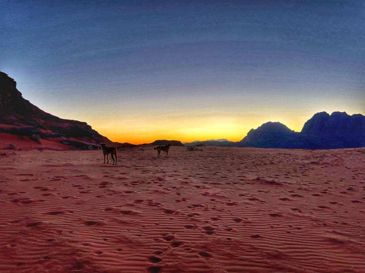 Wadi Rum Bedouin Tour With A Camp Exterior photo