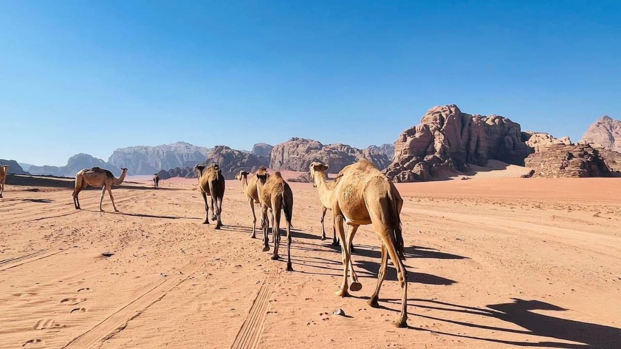 Wadi Rum Bedouin Tour With A Camp Exterior photo