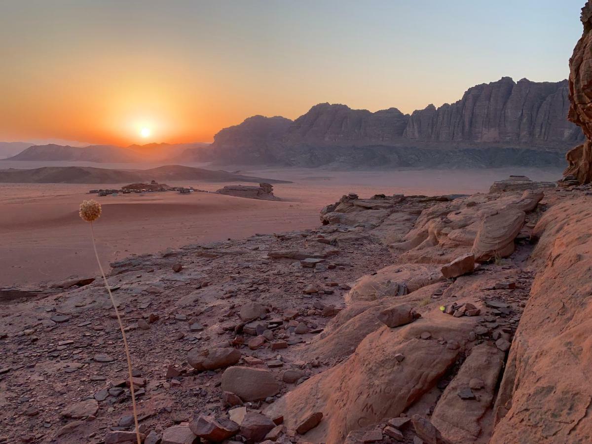 Wadi Rum Bedouin Tour With A Camp Exterior photo